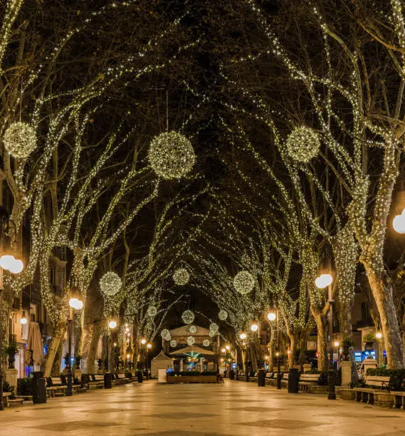 Nest christmas lights street 