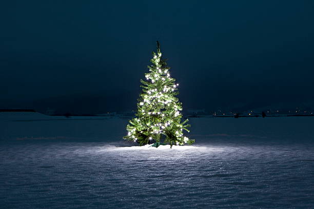 christmas tree with lights