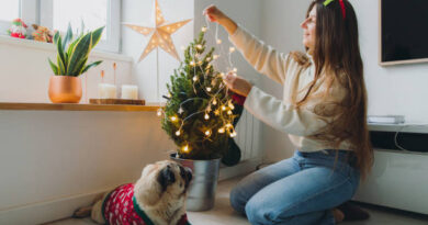 20 Plus Christmas tree types and decoration ideas!