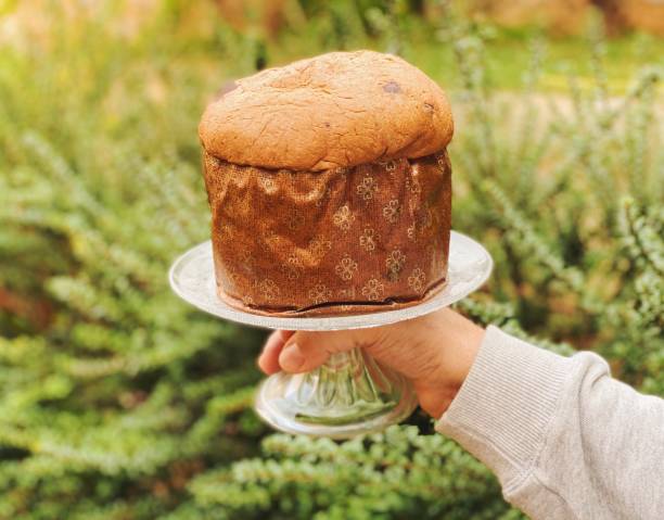 Panettone and Chocotone