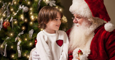 06 Top Reasons About Merry Christmas is magical!