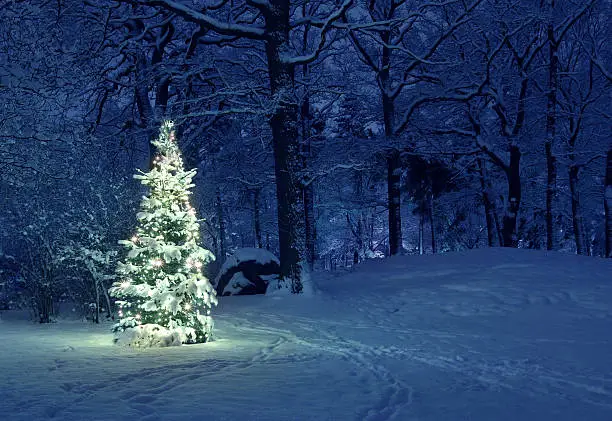 snow Christmas tree