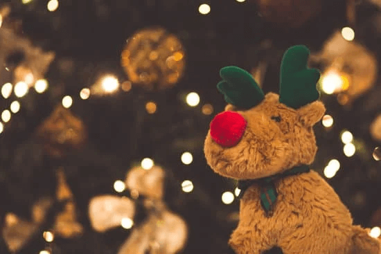 Christmas Fact #1 Rudolf's nose