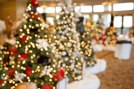 Christmas Fact #2 Christmas trees