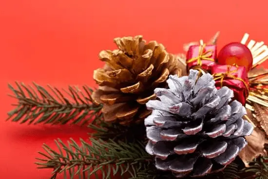 Christmas wreath with pine cones