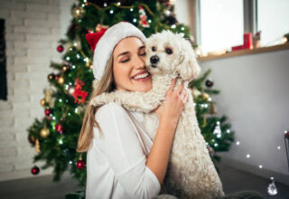How To Spend The Christmas Holiday With Your Pets Safely?