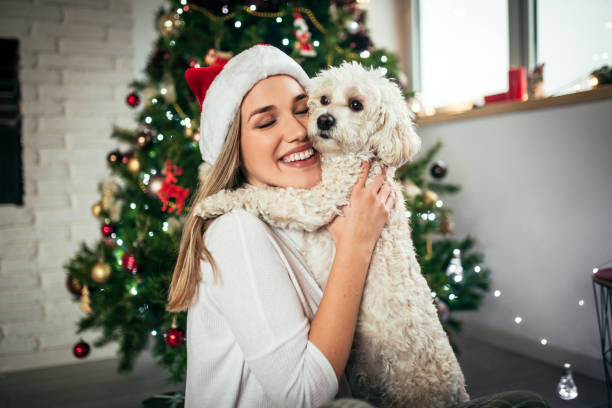 How To Spend The Christmas Holiday With Your Pets Safely?