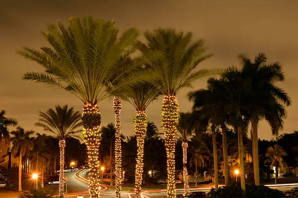 Top 5 Places To Visit In Florida During Christmas Season