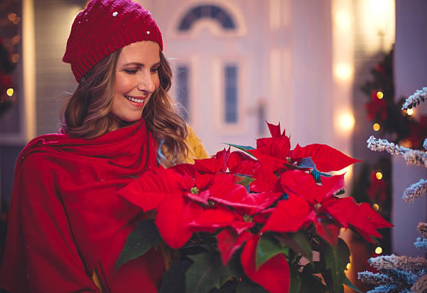 Flowers for Christmas: What are the most beautiful ones to decorate at Christmas?