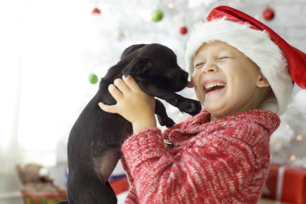 Christmas Guide For Pet owners