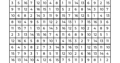 Sudoku to Beat Christmas Stress