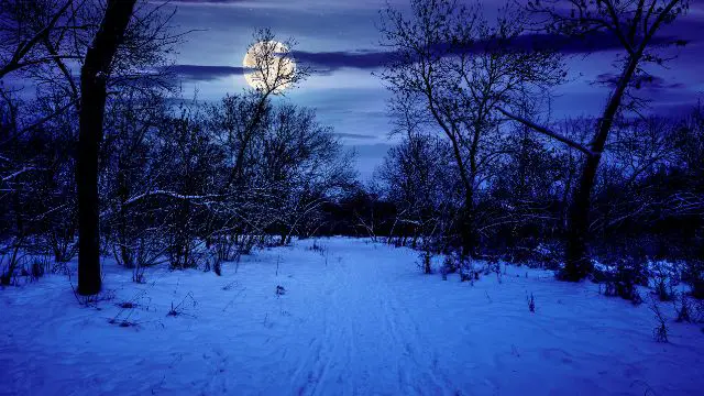 Whispers in the Winter Night