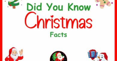 57 Did You Know Facts About Christmas